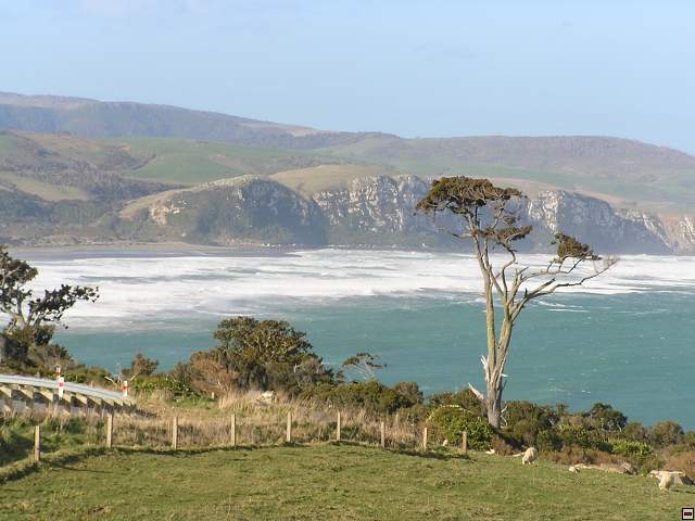 The Catlins Coast 029.jpg
